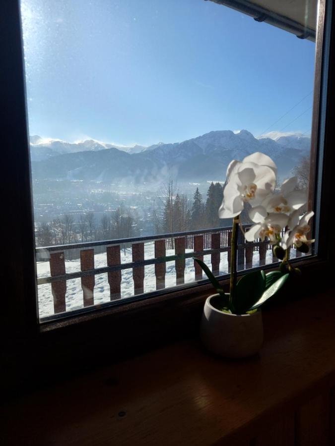 Appartamento Niebianska Gran Zakopane Esterno foto