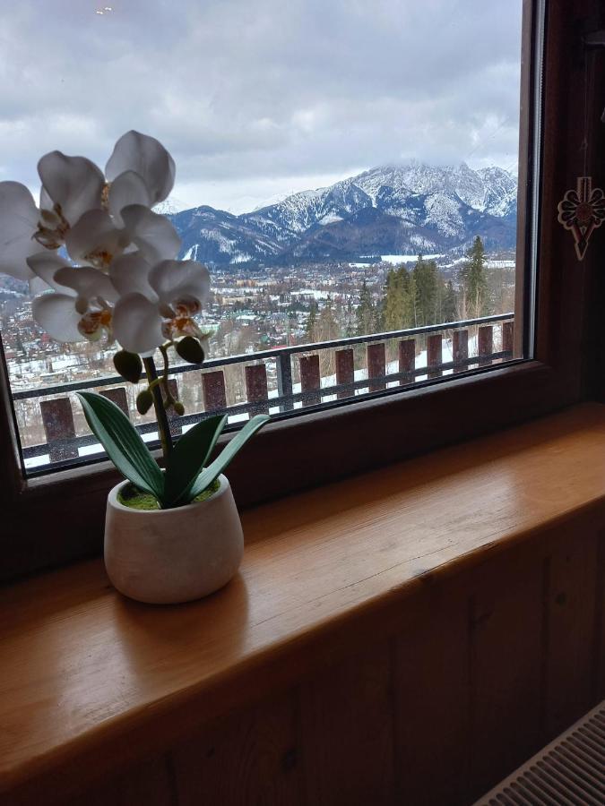 Appartamento Niebianska Gran Zakopane Esterno foto
